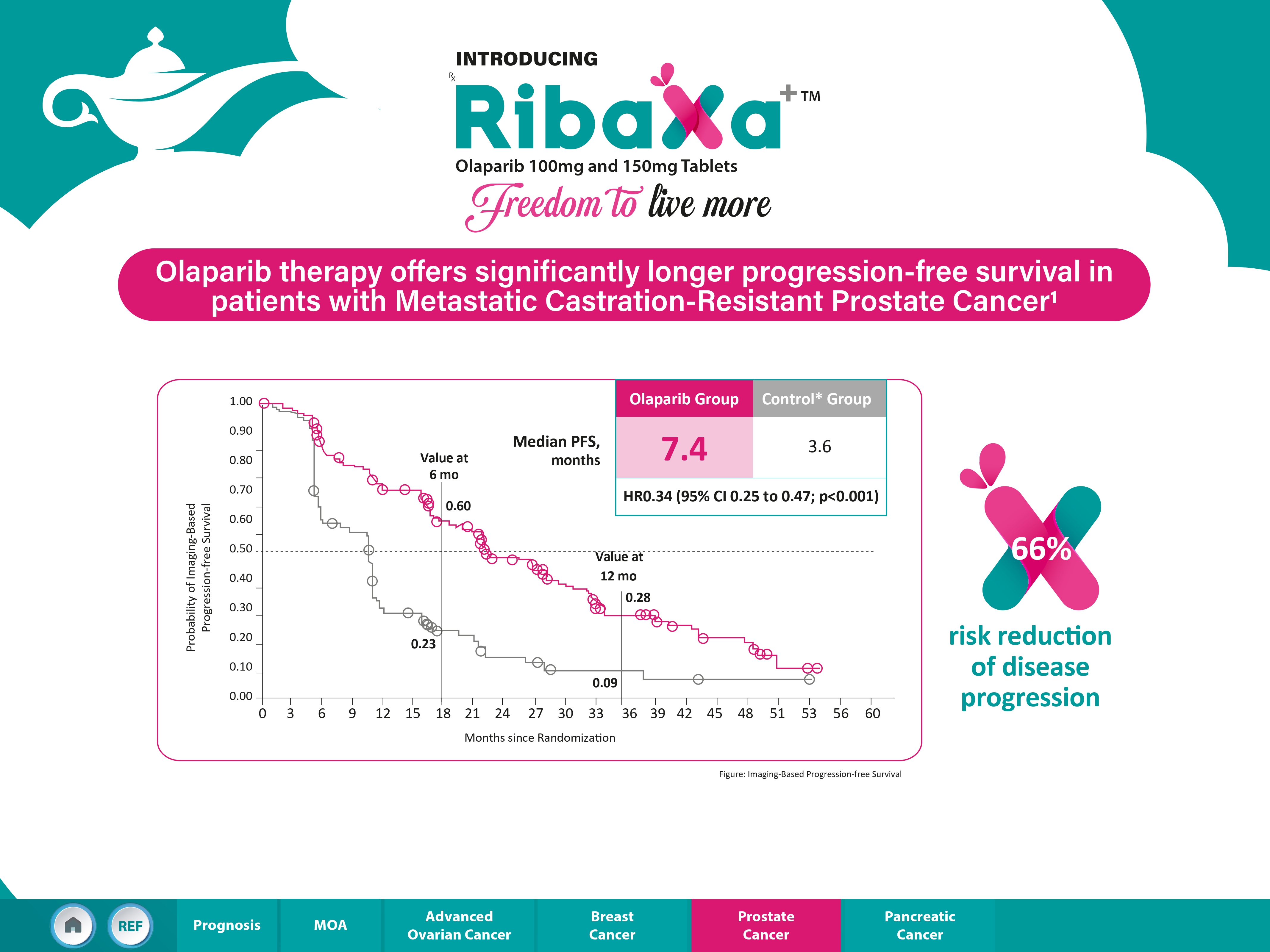 Ribaxa visual aid page 29